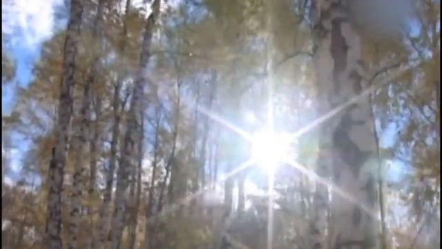 Памяти друга . Tribute to My Friend . смотреть онлайн