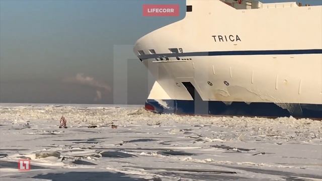 Спасатели уговорили рыбаков сойти со льдины рядом с проходящим мимо танкером: смотреть онлайн