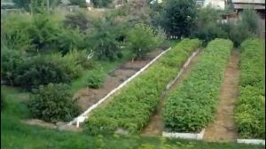 Садоводство и огородничество Огород без хлопот