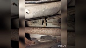 Форд Экоспорт замена тросов ручника, артикулы запчастей