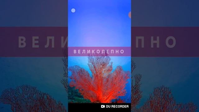 New! Wow Египет Красное море 12-20 Lvl Ответы смотреть онлайн