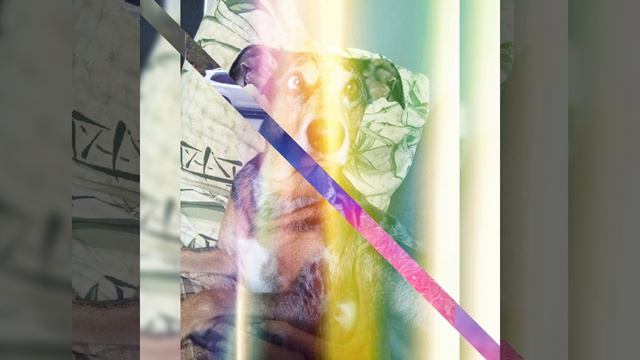 SlideShow_23_16_57.mp4