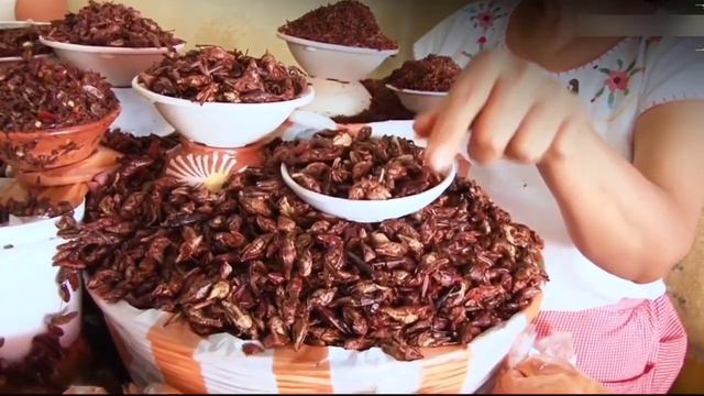 Future Of Food Insects @VillageCookingChannel | How People Eat Insects смотреть онлайн