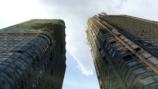 Teka davamlılığı özünü hər zaman göstərir! смотреть онлайн