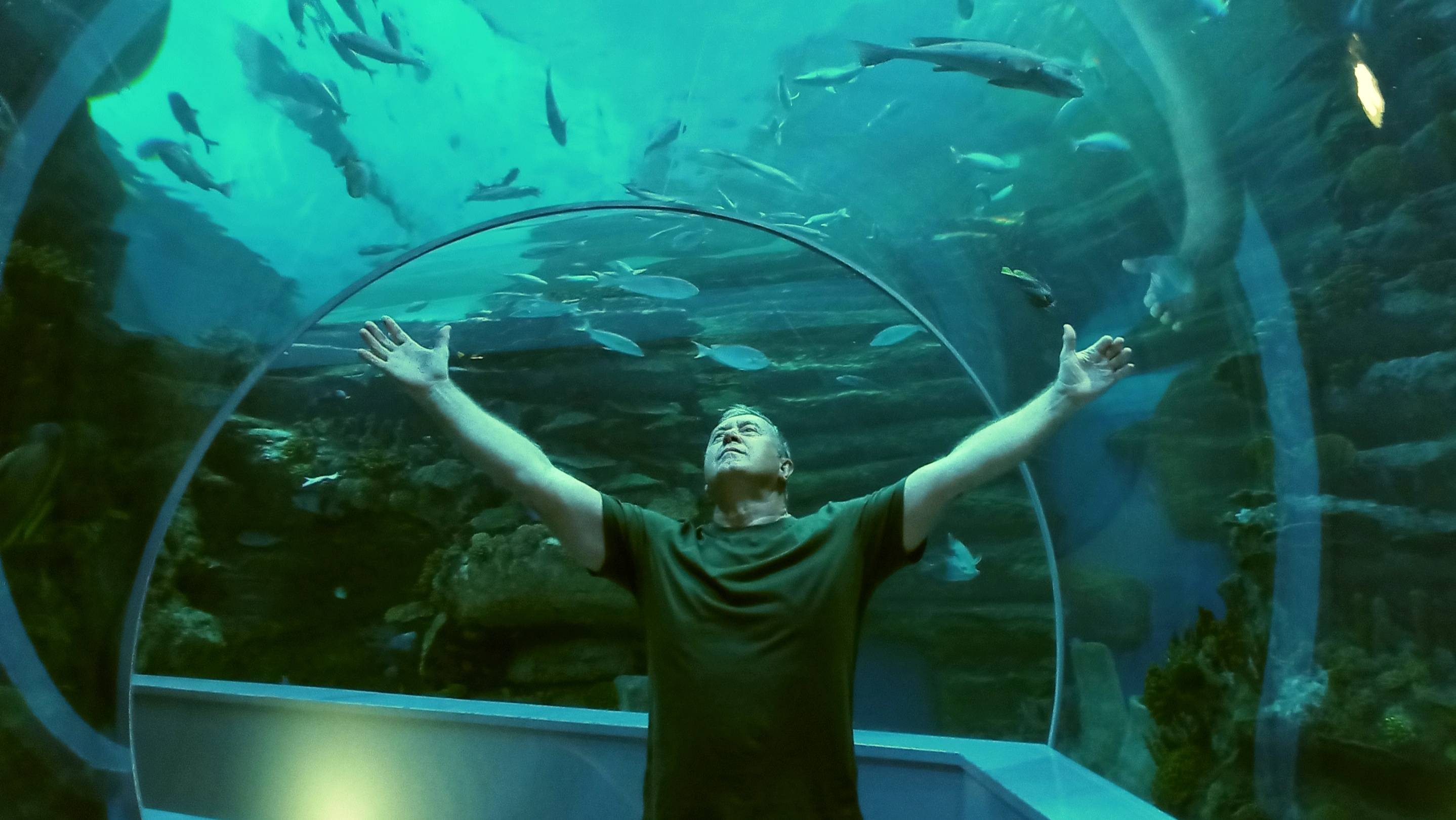 Океанариумы мира. Арабские Эмираты. Шарджа смотреть онлайн