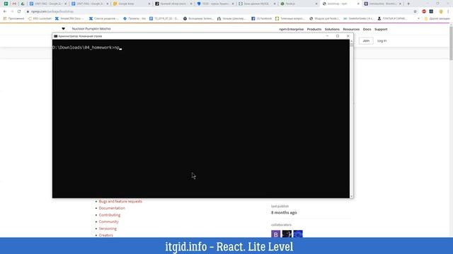 01 Знакомство с Node.js и NPM. React. Lite Level. смотреть онлайн