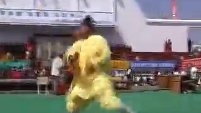 Wudang Bagua jian - Уданский меч багуа смотреть онлайн