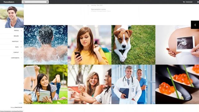 Moje - vCard Bootstrap Responsive WordPress Theme смотреть онлайн