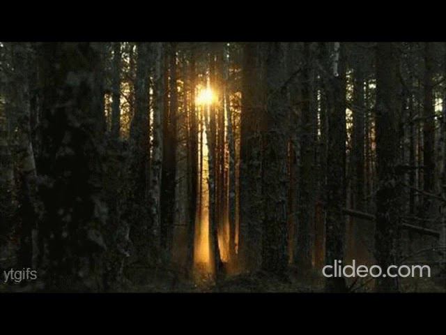 на краю рассвета - НК смотреть онлайн