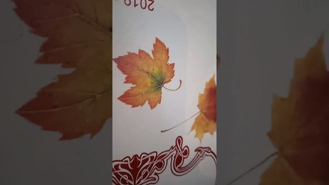 "Вальс Бостон".А.Розенбаум исп.Фаина и Юрий Леминовы . смотреть онлайн