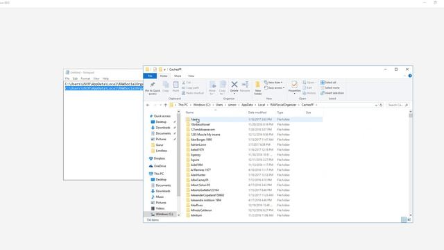 Importing Cookies and Cache to BrowSEO смотреть онлайн