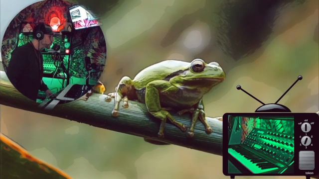 THE SYNTH FROG VALENTINES - LIVE SYNTHESIZER JAM W/T MONOPOLY OPSIX WAVESTATE 2.14.2023 смотреть онлайн