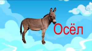 Чудесная Азбука. Буква О.