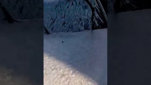 Тест пеногенератора на мойке Elitech