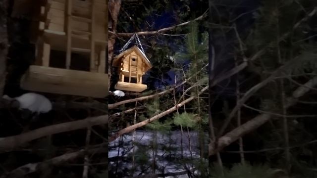 Вечерняя Прогулка!!!