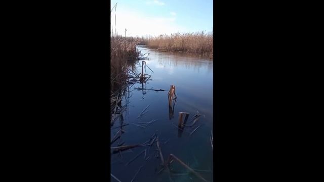 Я РЖАЛ ДО СЛЕЗ / ПРИКОЛЫ НА РЫБАЛКЕ / ЗИМНЯЯ РЫБАЛКА лучшее смотреть онлайн