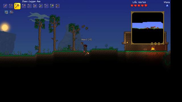 Terraria DG World (2)
