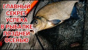 ГДЕ И КАК ЛОВИТЬ МИРНУЮ РЫБУ ПОЗДНЕЙ ОСЕНЬЮ