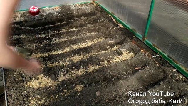 ЧТО ПОСАДИТЬ В АПРЕЛЕ? САЖАЕМ БАРХАТЦЫ И ЦИНИИ МНОГО И СРАЗУ! смотреть онлайн