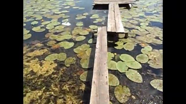 Озеро Бездонное, Калужская область. смотреть онлайн