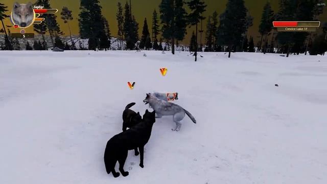 WolfQuest: Anniversary Edition| Let's Play| Windswept Pack- EP. 16- Winds over the Creek! смотреть онлайн