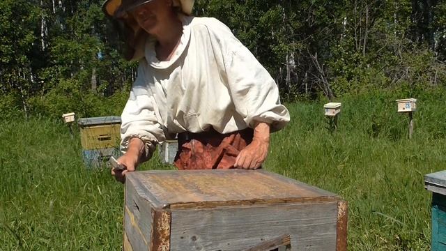 Вывод маток Мой секрет смотреть онлайн