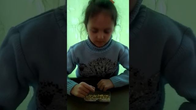 Семена гороха проросли смотреть онлайн