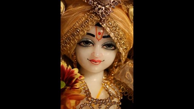 Гимн дураков смотреть онлайн