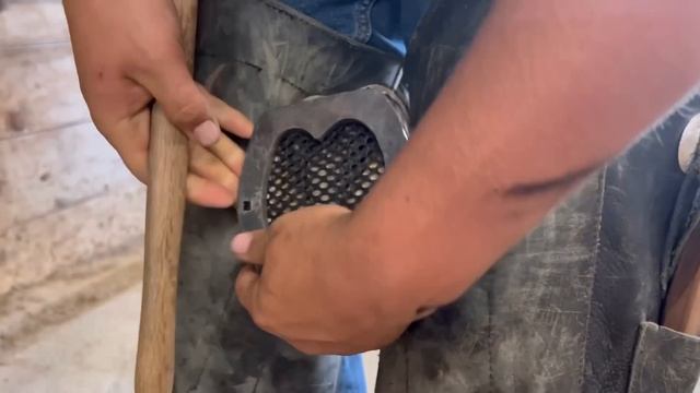 MUST WATCH! Broken COFFIN BONE transformation! смотреть онлайн