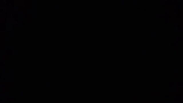 Вой шакалов. #вой #шакал #ночь #природа смотреть онлайн