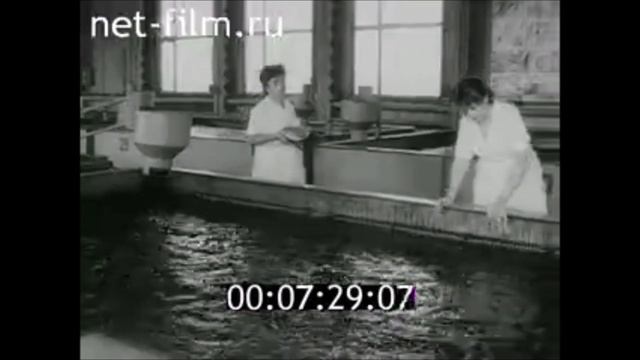 Рыбный цех на Челябинском Металлургическом Комбинате. 1987 год смотреть онлайн