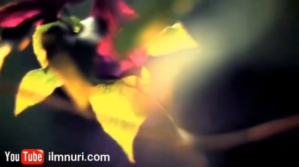 Эри хотинга насихат