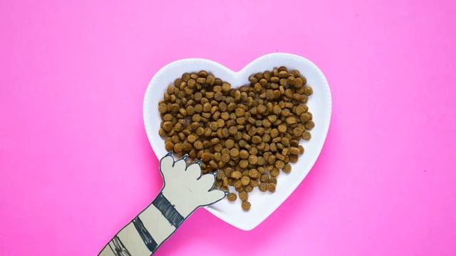 Корм для кошек. Стоп моушен.Stop Motion смотреть онлайн