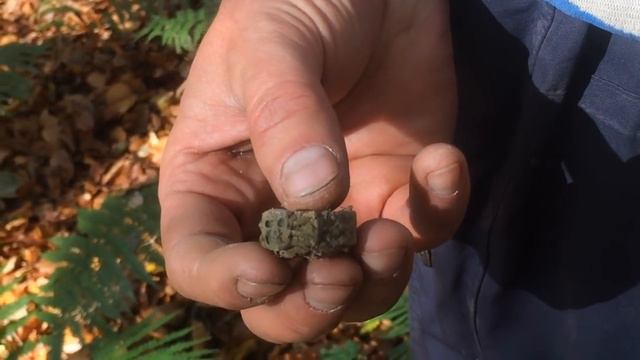 Отличные находки по временам года!День-ночь,земля-вода.Подборка.Фильм 96. смотреть онлайн