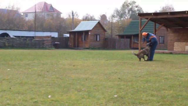 Fast Flock Egarza (Гарза), группа Б, 3 место, 64 балла. смотреть онлайн