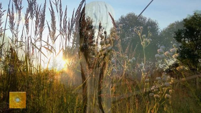 Боги и судьба человека. Кто руководит? смотреть онлайн