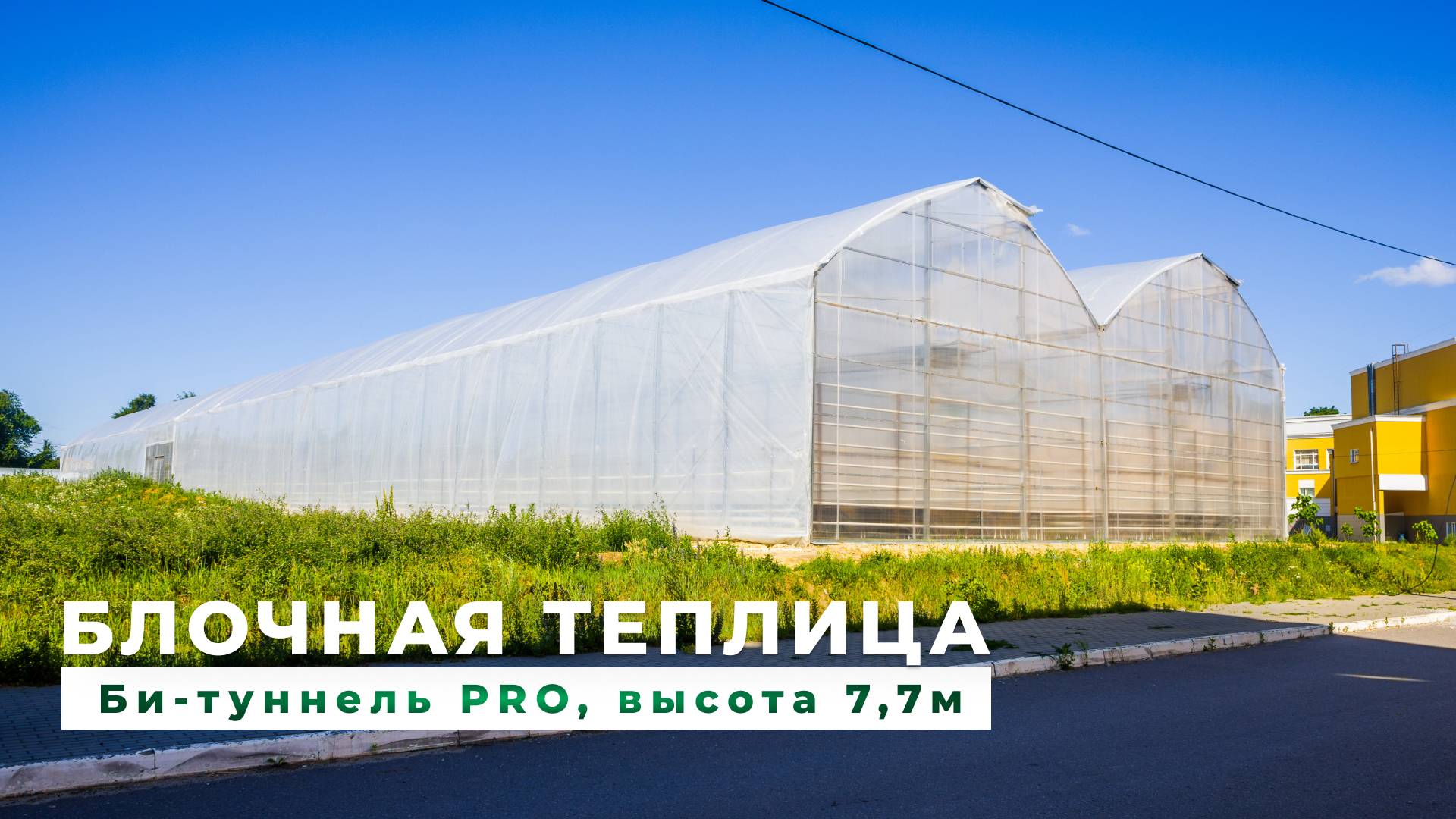 Блочная теплица. Промышленное выращивание смотреть онлайн