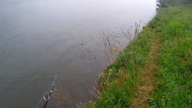 Чуть руки не Отморозил ?, Но вытащил Его ☝. Рыбалка на спиннинг на тайменя на реке Бия. смотреть онлайн