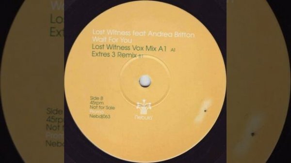 Lost Witness featuring Andrea Britton - Wait For You (Lost Witness Vox)