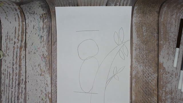 Видео-урок "Рисуем коалу" смотреть онлайн