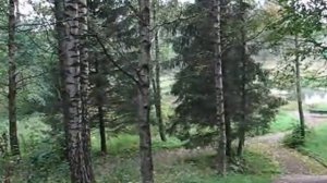 Мне теперь всё равно