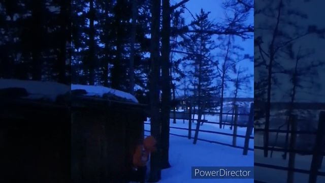 Обыкновенная летяга (Нэтээги) смотреть онлайн