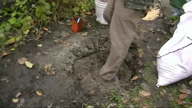 Посадка голубики смотреть онлайн