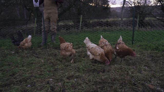 Why we are building a Micro Farm смотреть онлайн