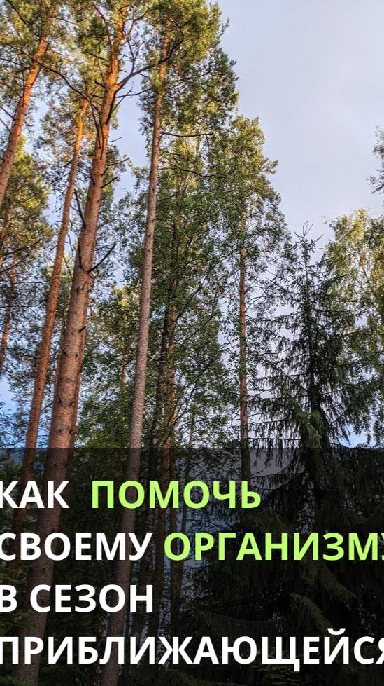 Как помочь своему организму в сезон приближающейся осени