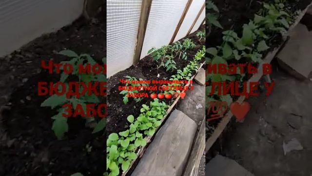 БЮДЖЕТНАЯ СВЕТЛИЦА У ЗАБОРА ИЗ ГОРБЫЛЯ СВОИМИ РУКАМИ ????❤️ смотреть онлайн