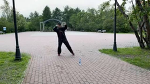 Ицюань / Yiquan (197 день). Туйтуо и Чентуо Чжуан / Хуаньчжао Цюань Фа - 3-й вариант