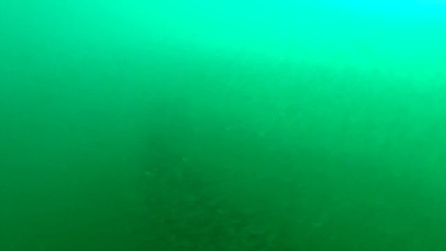 Fischenrif am Attersee, Риф в Аттерзее, Fischenreiche Attersee смотреть онлайн