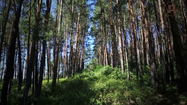 Легенды Гардарики смотреть онлайн