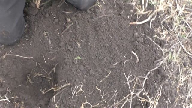 Племянники уделали дядьку в поиске монет! смотреть онлайн
